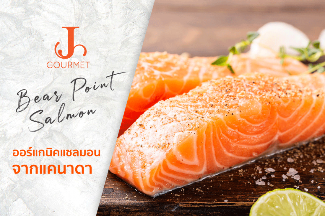 Bear Point Salmon ออร์แกนิคแซลมอนจากแหล่งน้ำที่ดีที่สุดในโลก