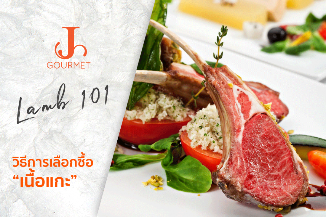 Lamb 101 "แกะ" และการเลือกซื้อแกะ